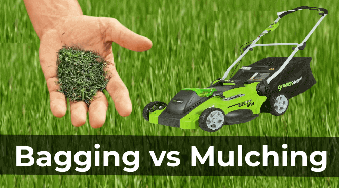 Bagging vs. Mulching Grass Clippings