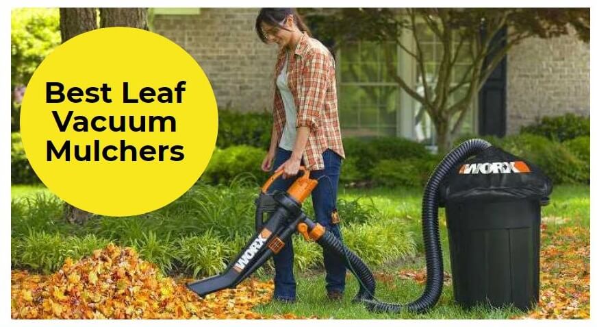https://www.electronicshub.org/wp-content/uploads/2021/09/best-leaf-vacuum-mulchers.jpg