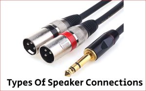 Types Of Speaker Connections