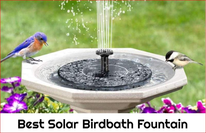 10 Best Solar Birdbath Fountain Reviews in 2023 - ElectronicsHub