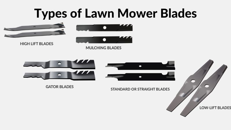 Ultimate Guide for Lawn Mower Blades with Expert Guidance - ElectronicsHub  USA