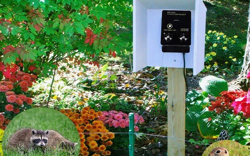 10 Best Electric Fence Chargers To Protect Your Livestock - ElectronicsHub