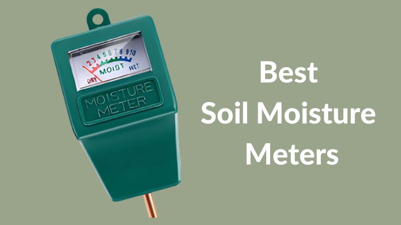 5 Best Soil Moisture Meters