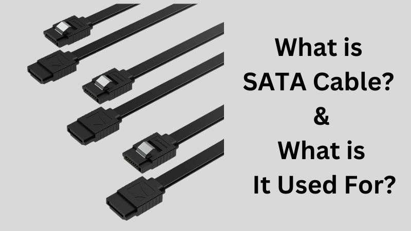 What Is a SATA Cable or Connector?
