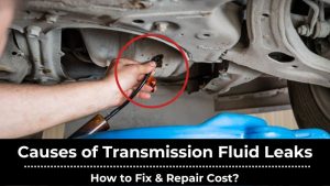 Causes of Transmission Fluid Leaks (1)