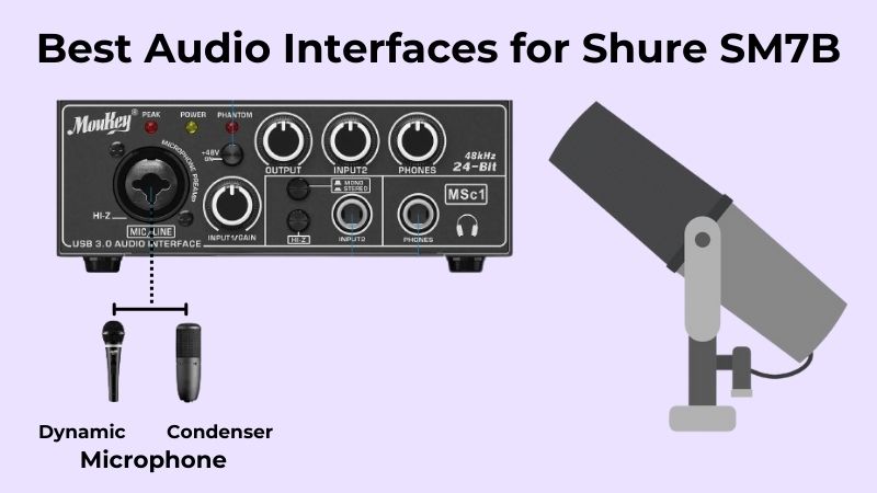 5 Best Audio Interfaces for Shure sm7b Reviews in 2024 - ElectronicsHub