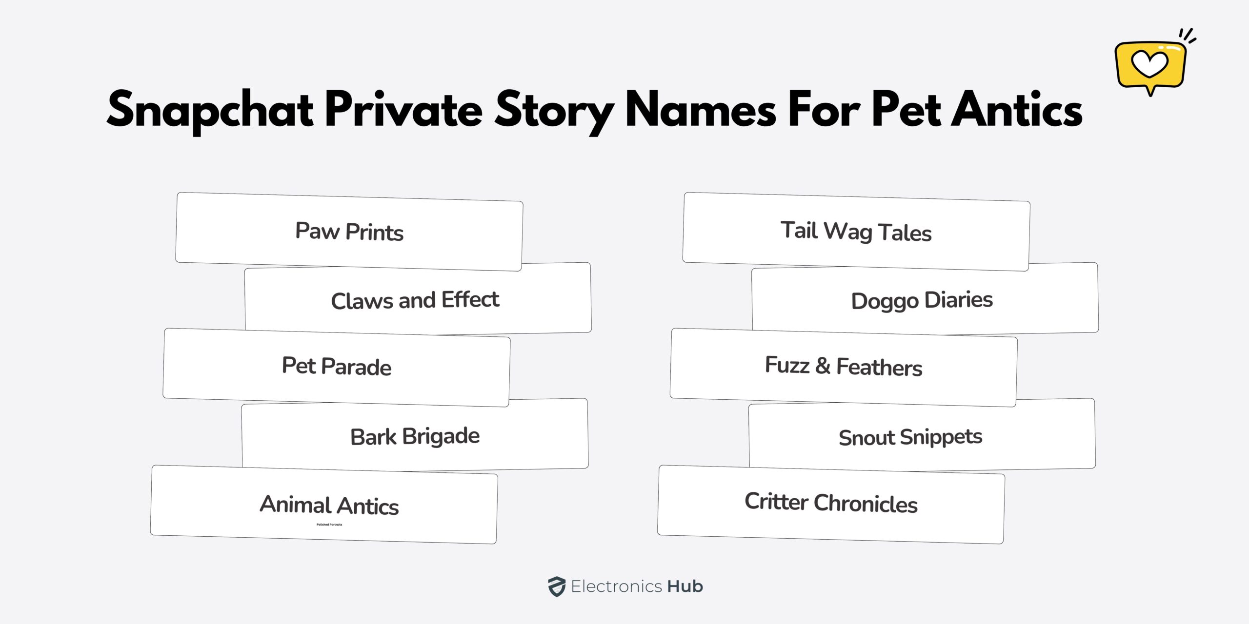 Snapchat Private Story Names for Pet Antics