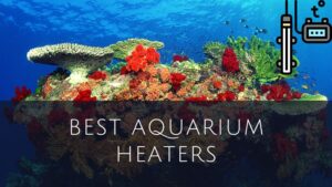 Best Aquarium Heaters