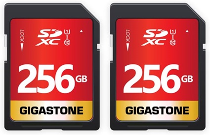 Gigastone SD Card For Dash Cam