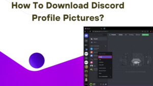 How To Download Discord Profile Pictures