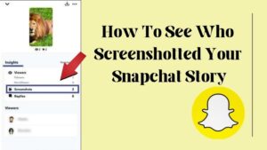 How To See Who Screenshotted Your Snapchat Story