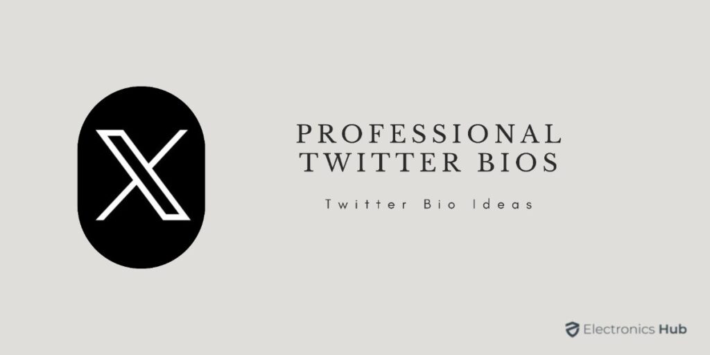Professional Twitter Bios