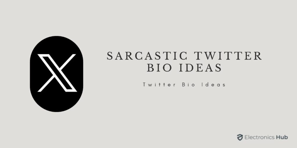 sarcastic twitter bio ideas
